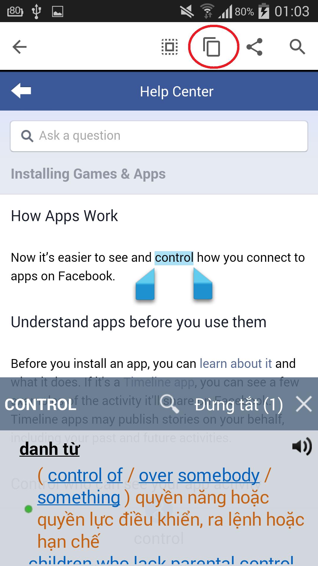 Tu dien Anh Viet, Viet Anh Pro