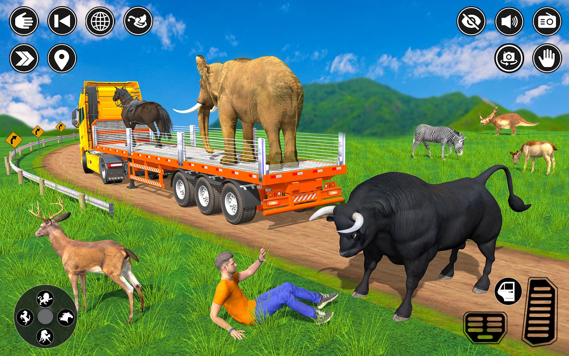 Animal Transport Truck Driving